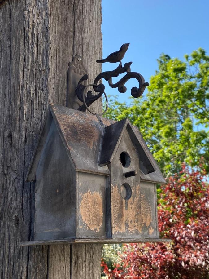 Gite Les Robins Vergigny Εξωτερικό φωτογραφία